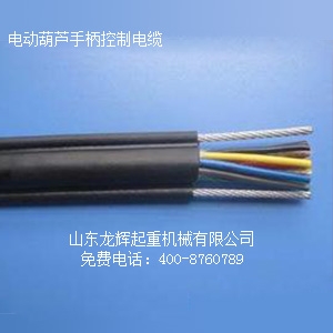 늄Ӻ��J������|  Longhui Company electric hoist control cable