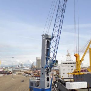 ����4��Gottwald�Ƅ�ʽ�ۿ����ؙC���n���ل��ѿ�