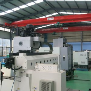 �����O��չʾ