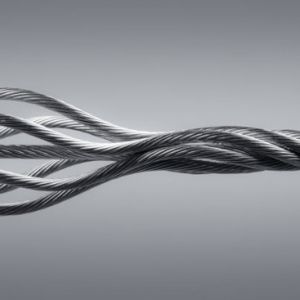 С���C䓽z�K��Ҫ�p���F��Ġ�r