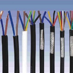 ������|����|���N��е�һ�N��ʲô�ǿ�����|��